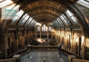 İngilizce B1.2 Orta Seviye Öncesi- 30 Saat