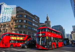 İngilizce Yarı Özel (2 Kişilik) Ders - 20 Saat